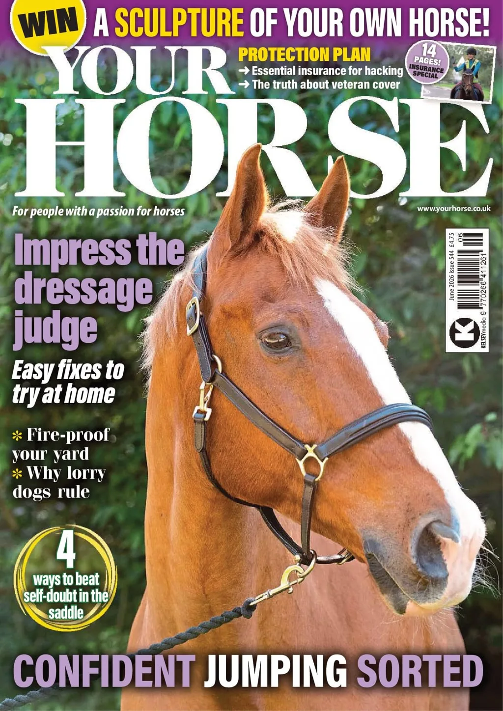 Your Horse Magazine